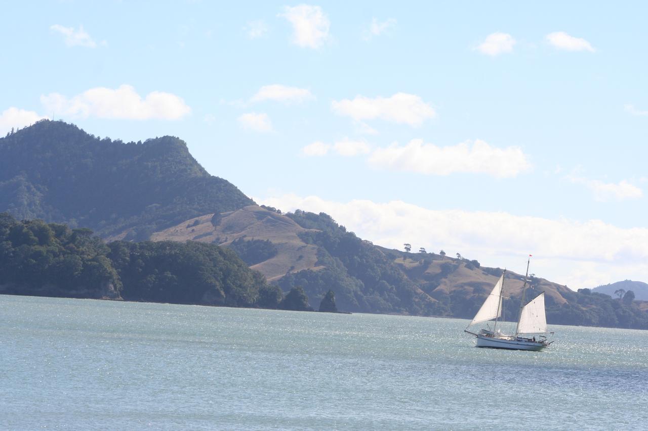 Blue Marlin Apartments Whitianga Kültér fotó