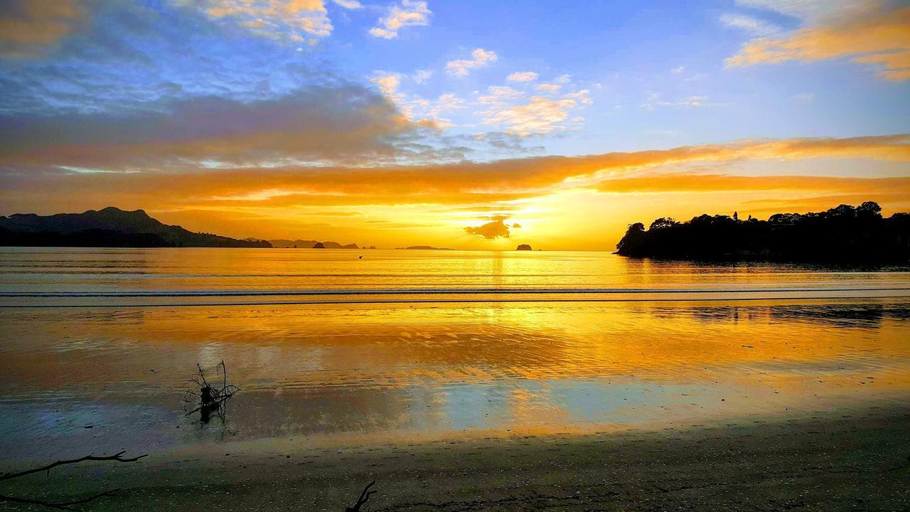 Blue Marlin Apartments Whitianga Kültér fotó